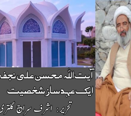 آیت اللہ محسن علی نجفیؒ ایک عہدسازشخصیت